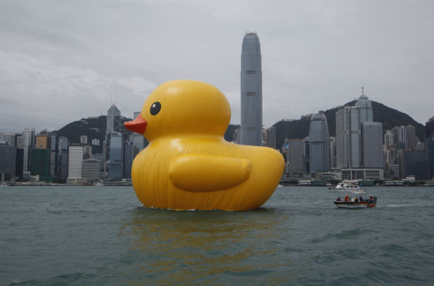 Photos: Duck, duck...boat?